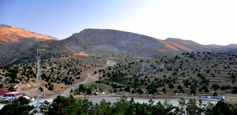 DSC_2520_800x390.jpg