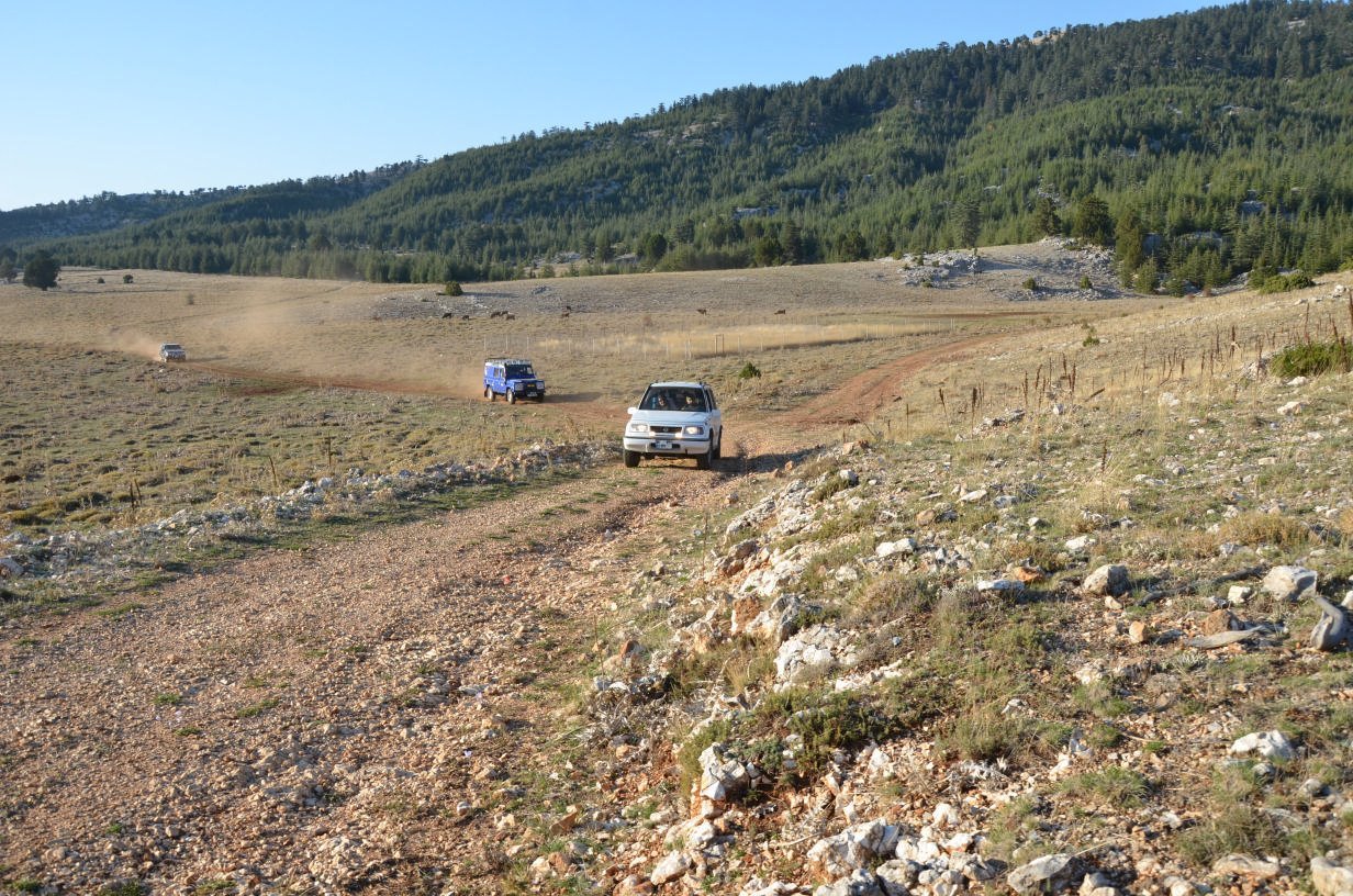 DSC_2521.jpg