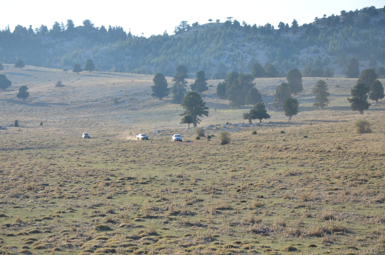 DSC_2523.jpg