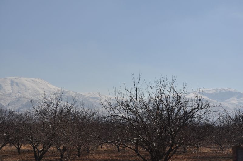 DSC_2530_800x531.jpg