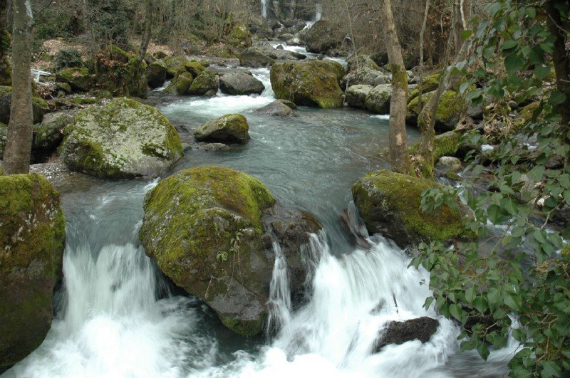 DSC_2717.JPG
