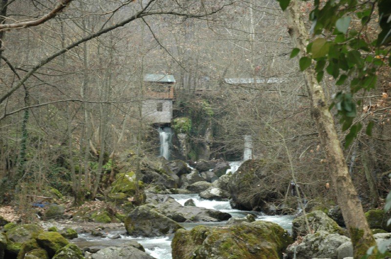 DSC_2720.JPG
