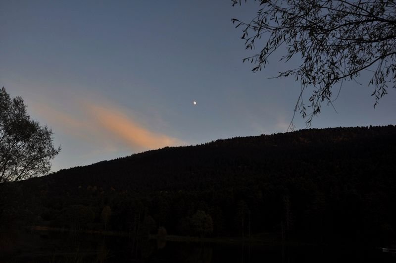 DSC_2936.jpg