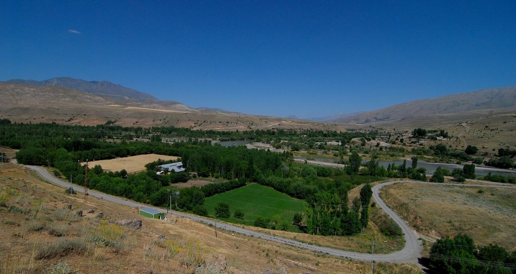 DSC_3000.jpg