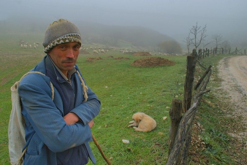 DSC_3130.jpg
