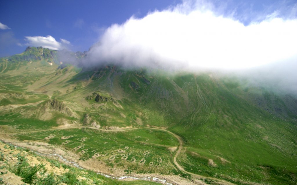 DSC_3217.jpg