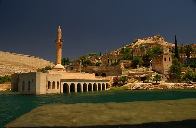 DSC_3253.jpg