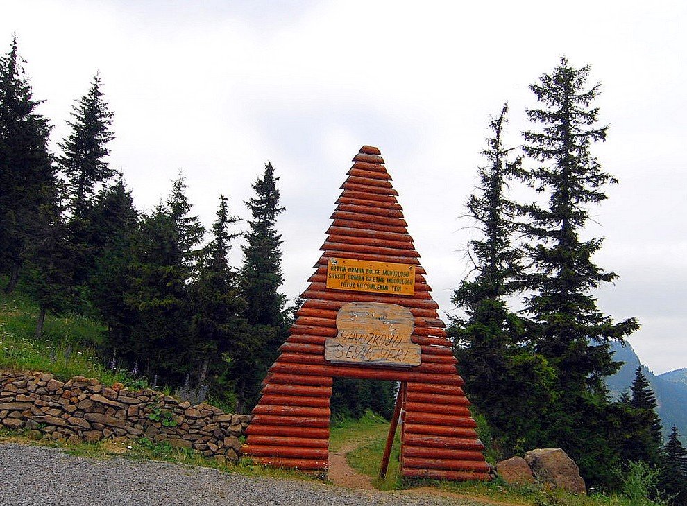 DSC_3317b.jpg