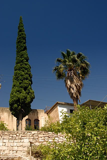 DSC_3334.jpg