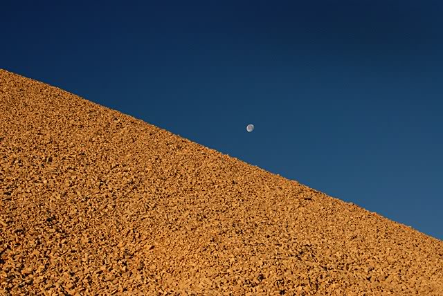 DSC_3395.jpg