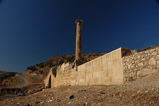 DSC_3461-1.jpg