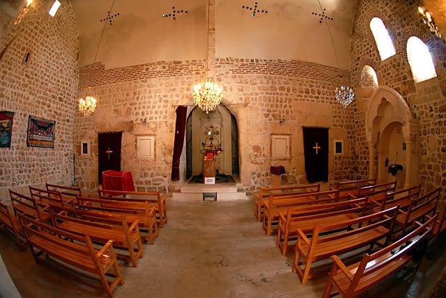 DSC_3556.jpg