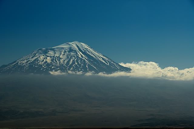 DSC_3747-1.jpg
