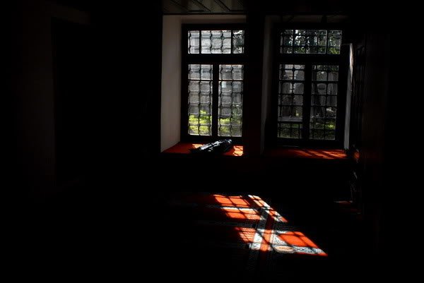 DSC_3788_resize.jpg