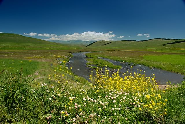 DSC_3864.jpg