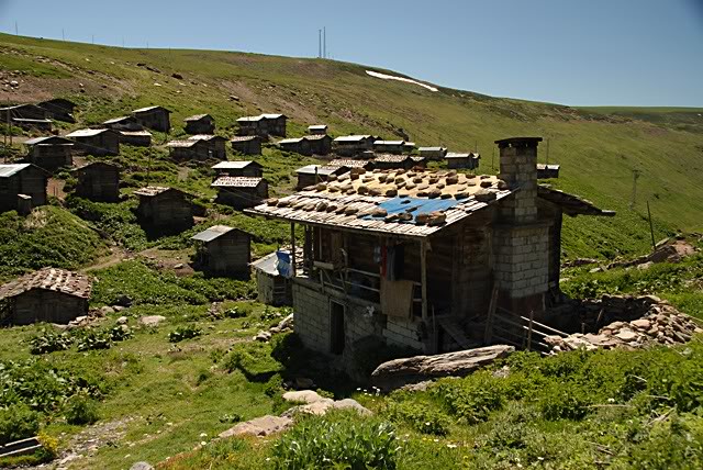 DSC_3877.jpg