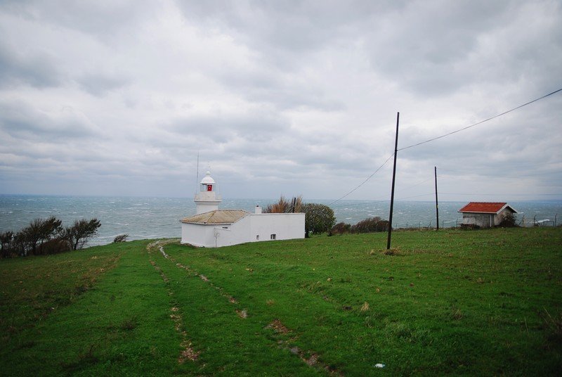 DSC_3899_800.jpg