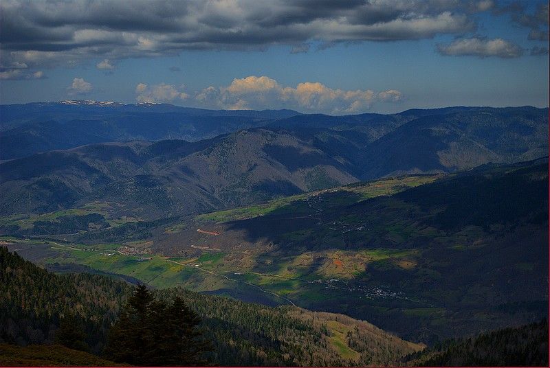 DSC_4005.jpg