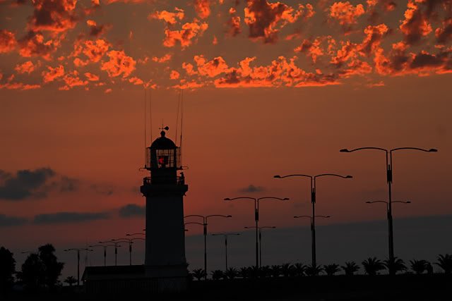 DSC_4030.jpg