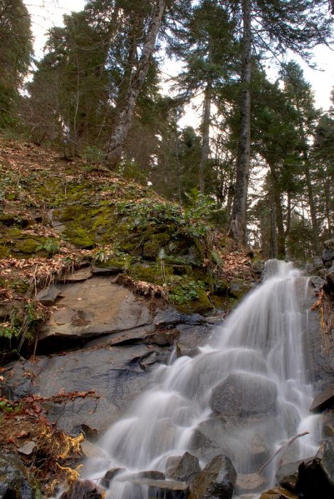 DSC_4047.jpg