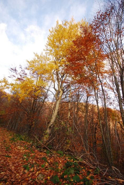 DSC_4088_800.jpg