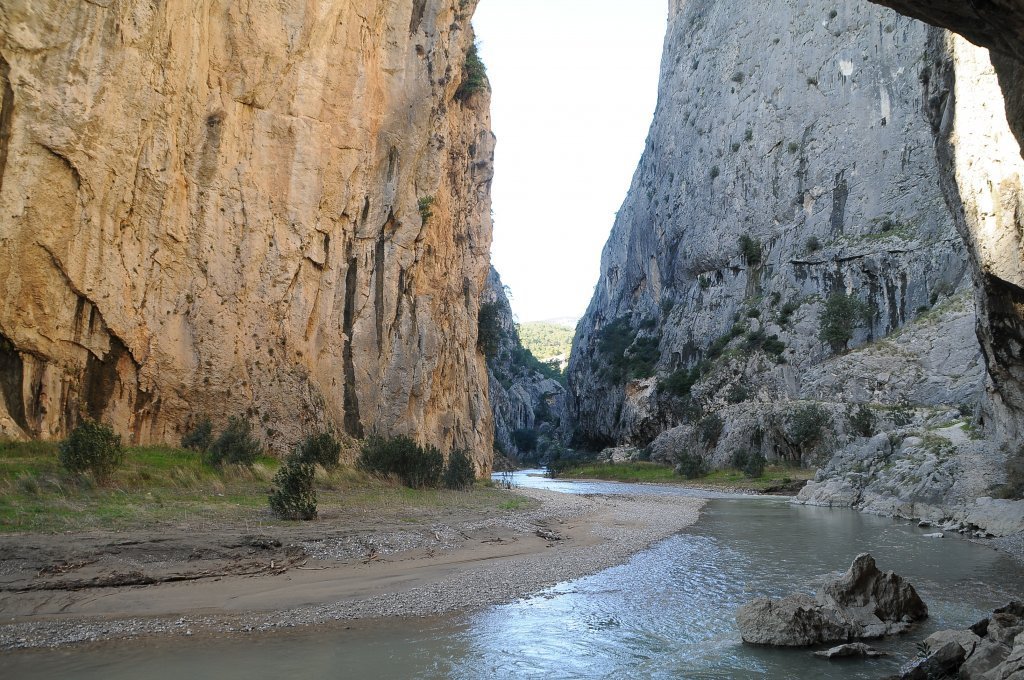 DSC_4103.JPG