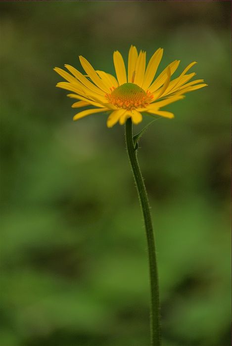 DSC_4186.jpg