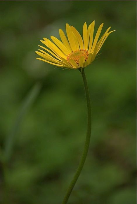 DSC_4187.jpg
