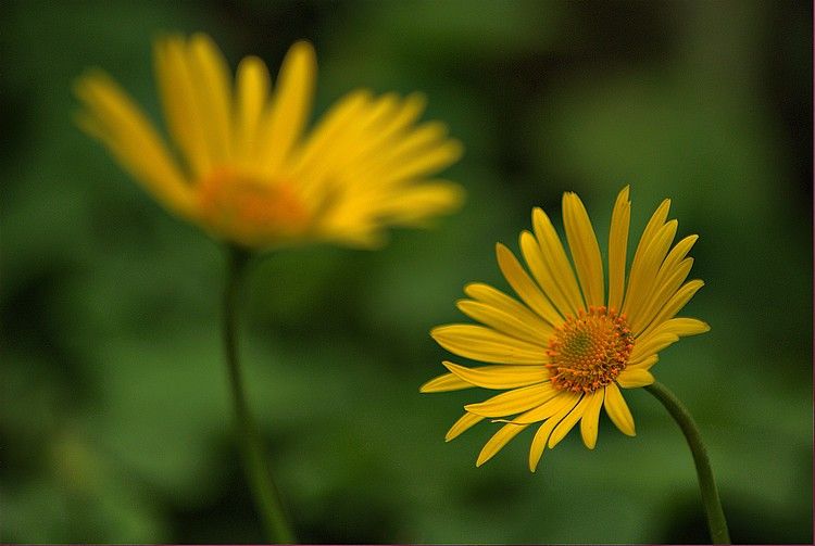 DSC_4190.jpg