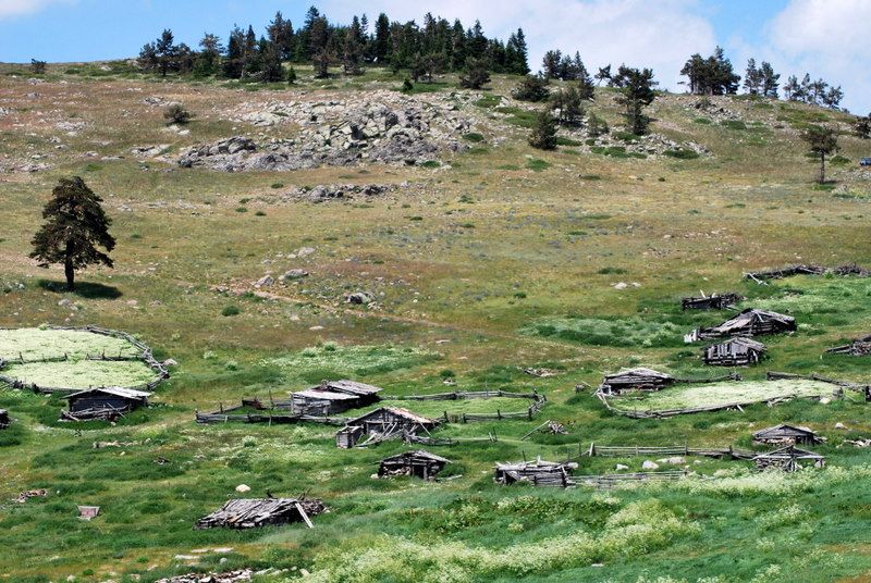 DSC_4276.jpg