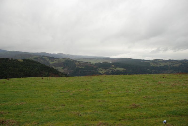 DSC_4323.jpg