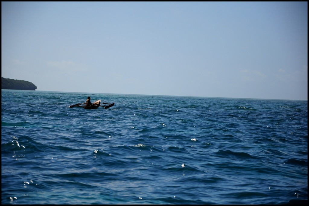 DSC_4332 (Large).JPG