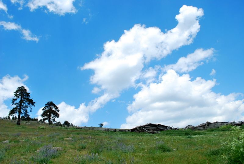 DSC_4340.jpg