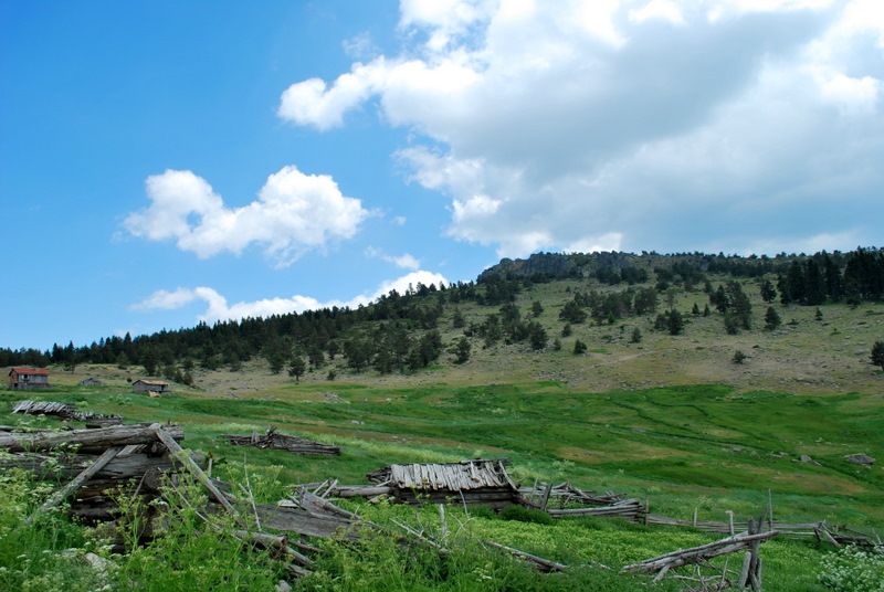 DSC_4341.jpg