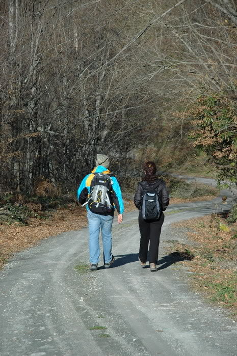DSC_4359.jpg