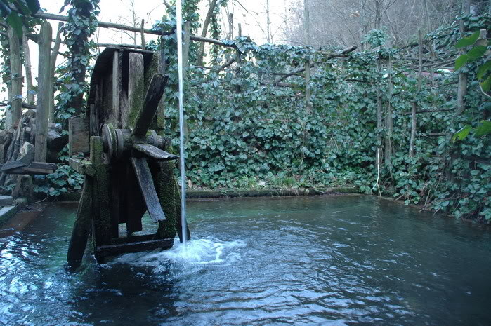 DSC_4364.jpg