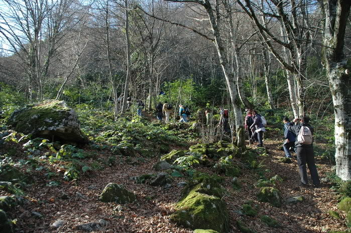 DSC_4371.jpg