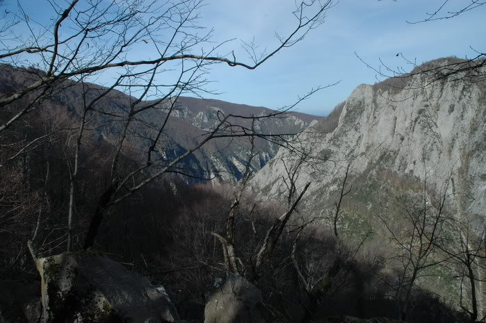 DSC_4388.jpg