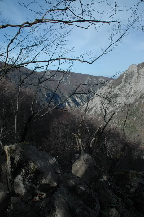 DSC_4389.jpg