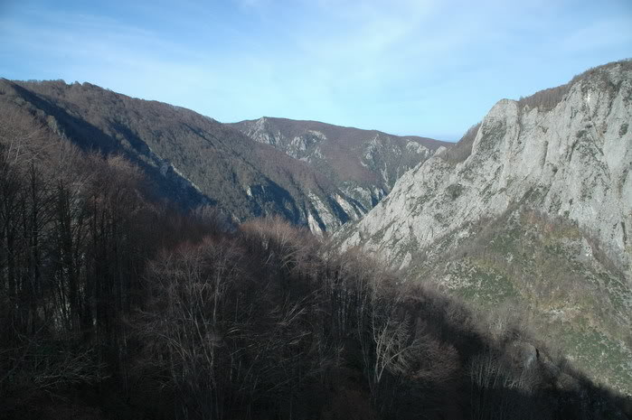 DSC_4394.jpg
