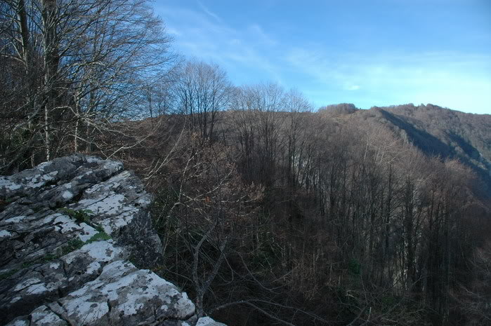 DSC_4395.jpg