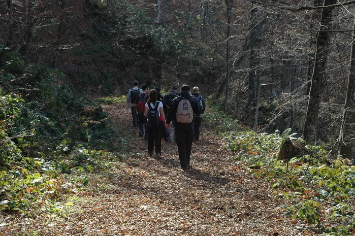 DSC_4403.jpg