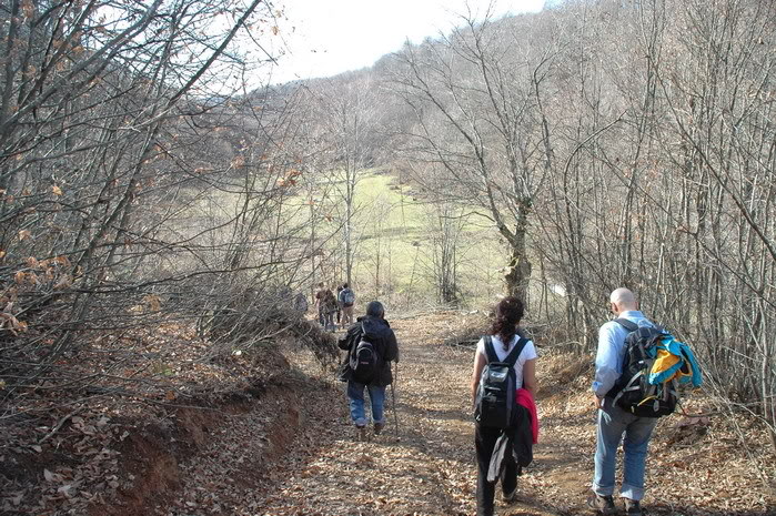 DSC_4405.jpg