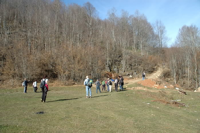 DSC_4407.jpg