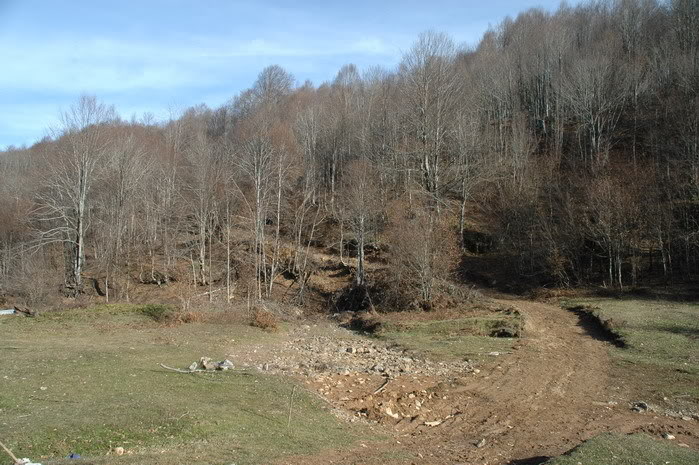 DSC_4408.jpg
