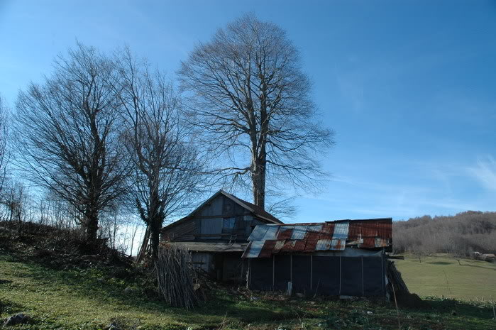 DSC_4410.jpg