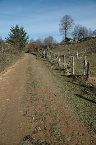 DSC_4413.jpg