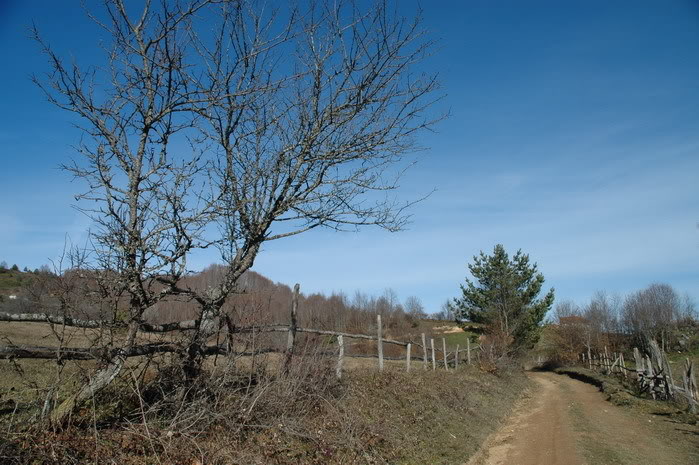 DSC_4414.jpg