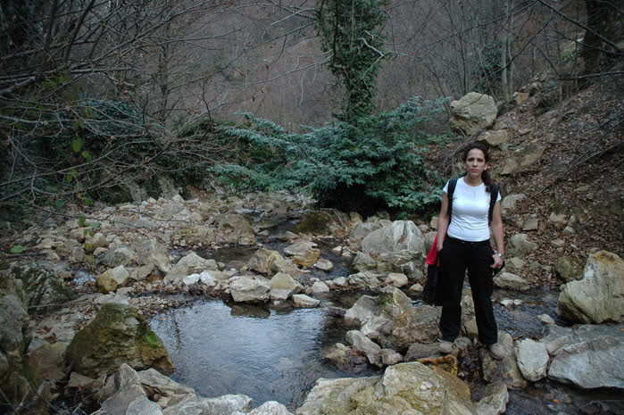 DSC_4428.jpg