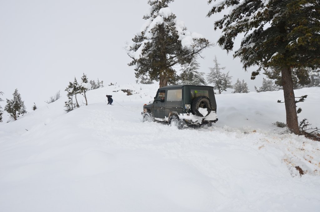 DSC_4539.JPG